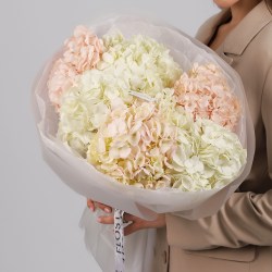 buket nezhnyh gortenzij  3-3